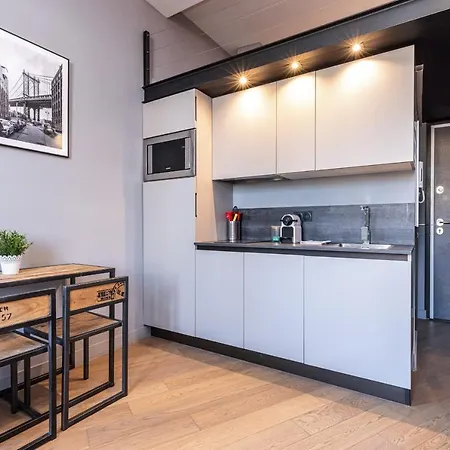 10 Segurane - Magnifique Mezzanine - Port De Apartment Nice